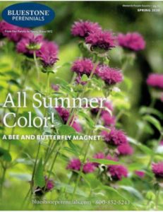 10 very best garden catalogs that every gardener needs bluestone perennials