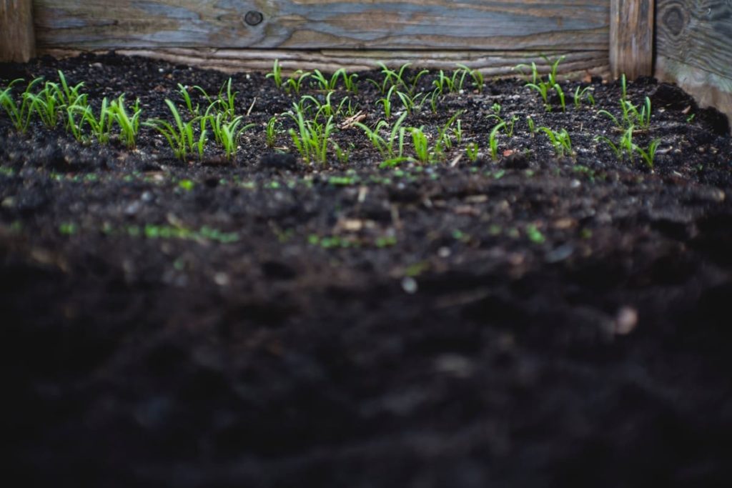 Wallet-Friendly Gardening - 20 Great Ideas to Create the Ultimate Garden pay attention to soil quality