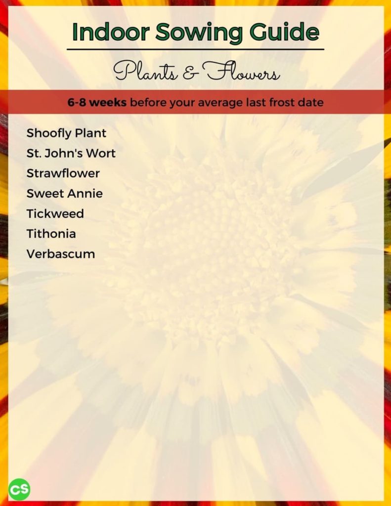 When to Sow Seeds Indoors - Complete Chart to Over 100 Beautiful Flowers sow 6-8 weeks before cont.