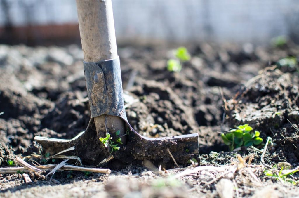 Common Garden Mistakes to Avoid in Spring working when the ground is too wet