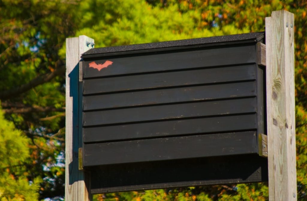 9 Easy Steps For a Wildlife-Friendly Yard - put up bat houses